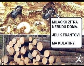 Palivové dřevo .