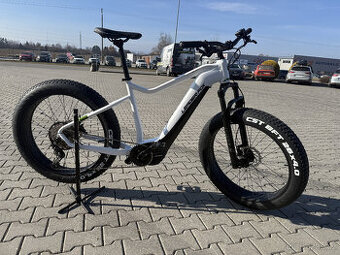 Fatbike Leader Fox Brasa