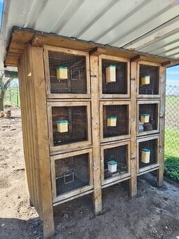 Prodej králíkárny 9 kotců - PLATÍ DO SMAZÁNÍ