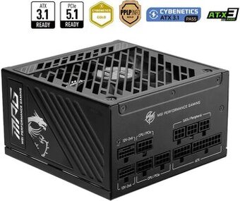 MSI MPG A1000GS PCIE5