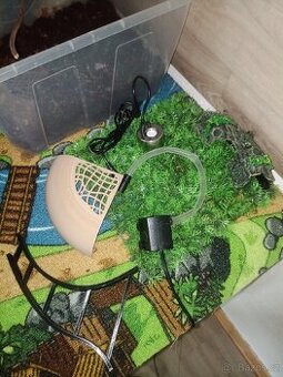 Akvárium, terárium, paludarium