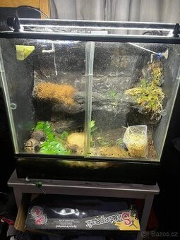Terarium pro pralesnicky
