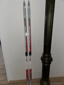 Běžky Fischer Royal Crown SL 183 cm ( 180)