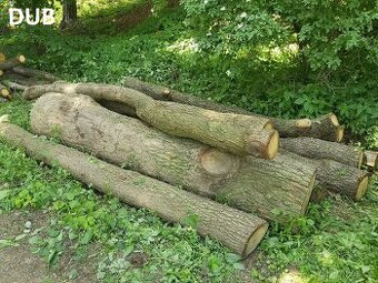 Palivové dřevo - dub, osika