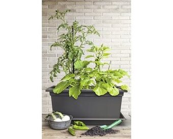 Truhlík plastový Magnus XXL 80 cm antracit