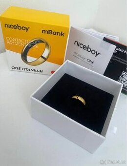 NICEBOY ONE TITANIUM PLATEBNÍ PRSTEN - 1