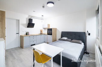 Pronájem ateliéru 1+kk, Perucká, Vinohrady, 16500 Kč/měs, 25