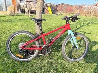 Dědské kolo BEANY ZERO 20