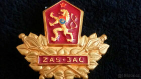 Vojenský odznak ZAS