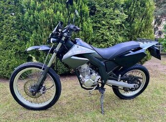 DERBI Senda Baja 125 cm3