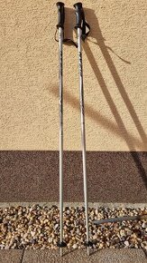 Hůlky Fizan X-treme 125 cm