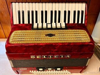 Akordeon- Delicia Carmen