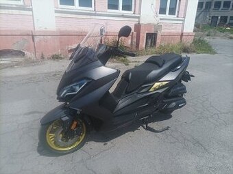 Maxon Discovery 300 Gold 2024