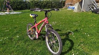 Dětské kolo 18" x fakt
