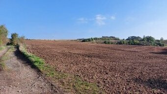Prodej podílu 1/2 zemědělská půda, 50 474 m2 - Třebíz - 1