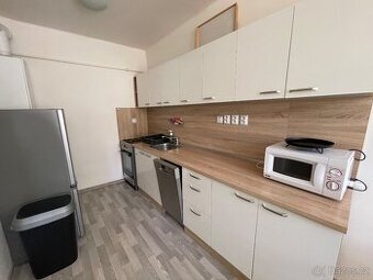 Pronájem 1 + 1 v centru Olomouce