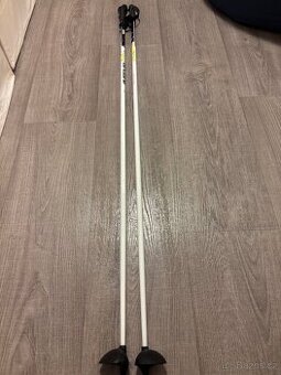 Hůlky na běžky 140cm