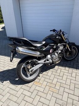 Honda cb600f hornet