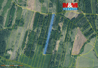 Prodej lesa, 13770 m², Jetětice - 1