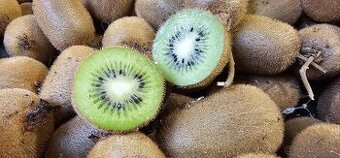 Domácí BIO kiwi