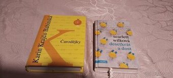 Kniha Desetkrát a dost – Scarlett Wilková