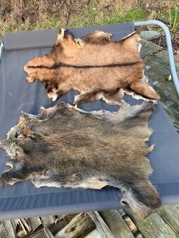 Jeleni a prasečí kůže