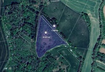 Prodej louky v k.ú. Kamenice u Jihlavy