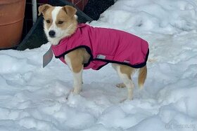 Zimní Obleček - Vesta pro psa Kapka lux 65 cm růžová - 1