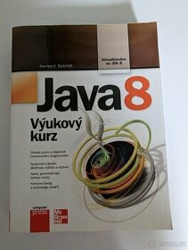 Java 7, 8, Minecraft, Windows 10, Technický slovník