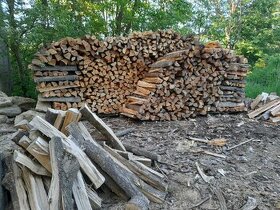 palivové dřevo - 1