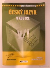 Česky jazyk v kostce - Marie Sochrová