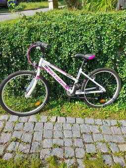 Prodám dětské kolo Leader Fox Buffalo Girl 24" - 1