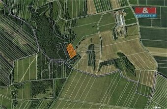 Prodej louky, 4646 m², Borotín u Boskovic - 1