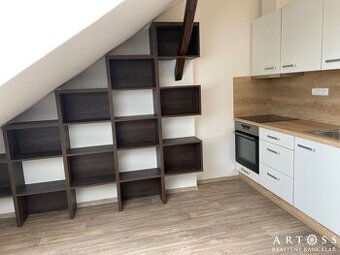 Pronájem bytu 1+kk, 30 m2 - Brno - Černá Pole