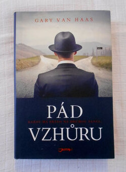 Gary van Haas - Pád vzhůru - 2014