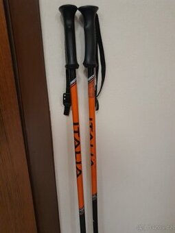 Lyžařský set- lyže +lyžaky+ hole
