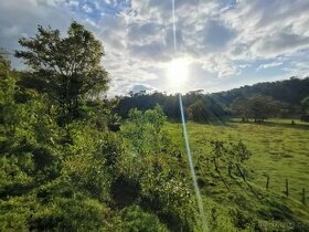 Pozemky a domy Kostarika