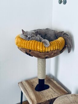 Škrábadlo pro kočky z teaku a dubu