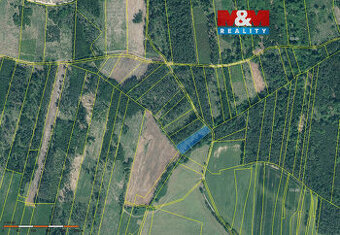 Prodej lesa, 3625 m², Jetětice