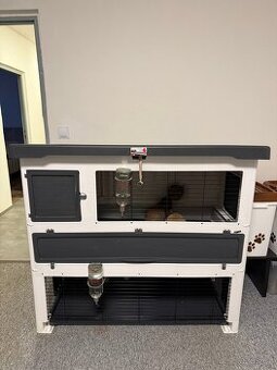 Prodám 2 králíčky včetně jejich sídla a vybavení