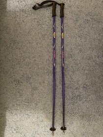 Prodej sjezdových holí