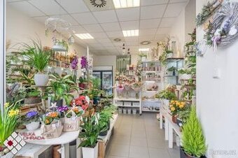Pronájem květinářství (25 m2), Praha 5 - Stodůlky, Prusíkova