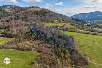 Prodej lesního pozemku, 20 736 m², Vyšní Lhoty