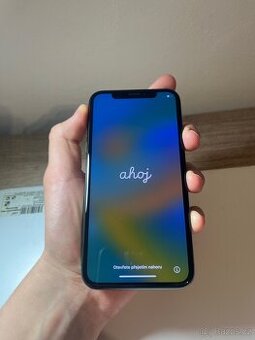 iPhone X