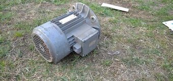 Elektromor