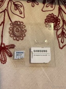 Samsung 256 GB Evo Plus MicroSD
