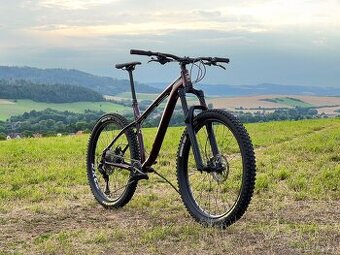 2021 Kona Big Honzo - Enduro Hardtail