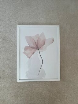 Plakát v dřevěném rámu Desenio - 1