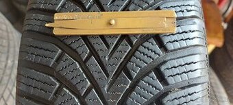 Zimní pneu 195/65R15 Sailun (34)