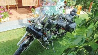 HONDA, STEED, 600CHOPPER